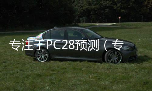 专注于PC28预测(专注pc28预测走势) 专注于PC28预测(专注pc28预测走势)